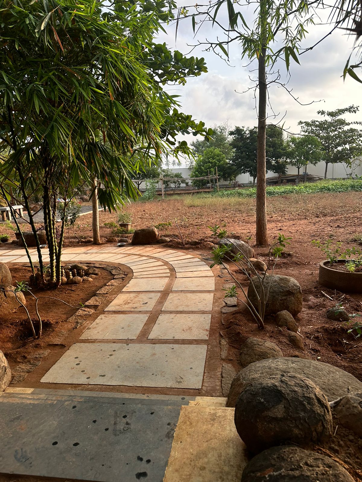 Garden path lined with palms and flowering shrubs