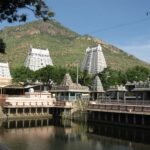 Guru Purnima 2025 at Arunachala – A Day of Grace and Guidance