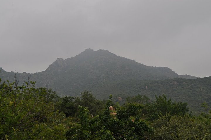 Chitra Pournami at Arunamangala – A Night of Inner Light