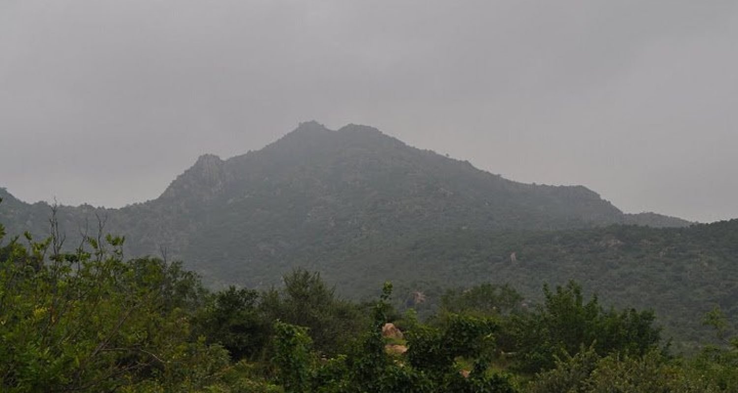 tiruvannamalai-small